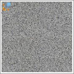 Gạch Đồng Tâm 4GA43
