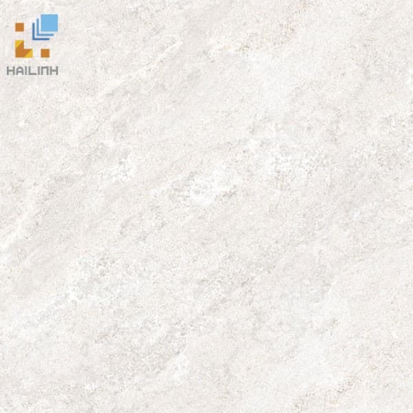 Gạch Đồng Tâm 6060BINHTHUAN005