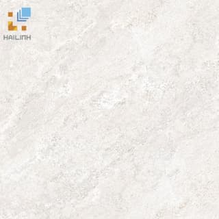 Gạch Đồng Tâm 6060BINHTHUAN005