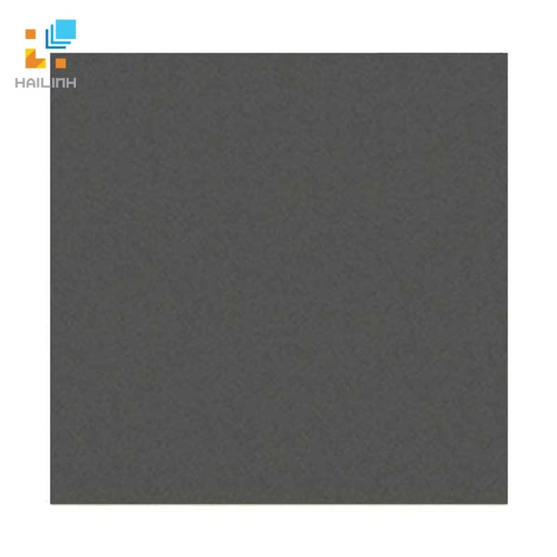 Gạch Đồng Tâm 6060VICTORIA008