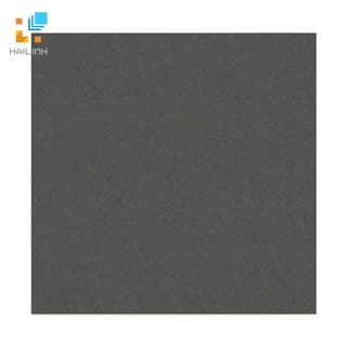 Ảnh Gạch Đồng Tâm 6060VICTORIA008 1