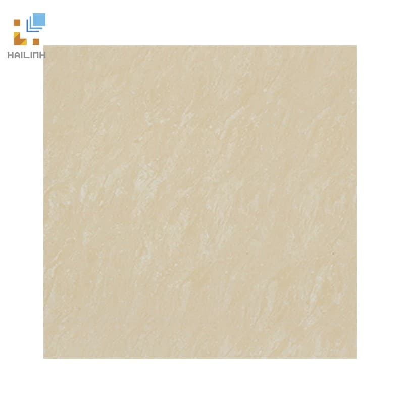 Gạch Đồng Tâm 8080DB100-NANO