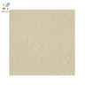 Gạch Đồng Tâm 8080DB100-NANO 1