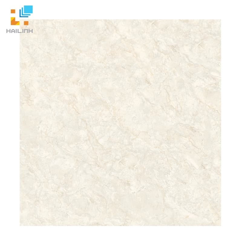 Gạch Đồng Tâm 8080NAPOLEON003-H+