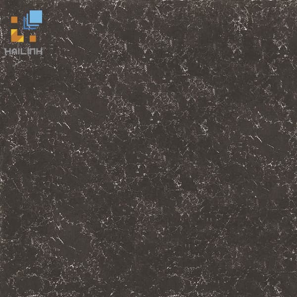 Gạch Đồng Tâm 8080PLATINUM006