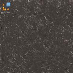 Gạch Đồng Tâm 8080PLATINUM006