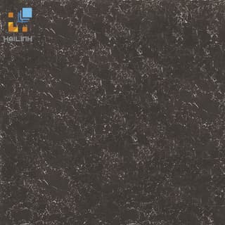 Ảnh Gạch Đồng Tâm 8080PLATINUM006 1