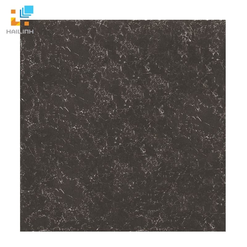 Gạch Đồng Tâm 8080PLATIUM 006