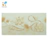 Ảnh Gạch Đồng Tâm D3060AROXY003 1