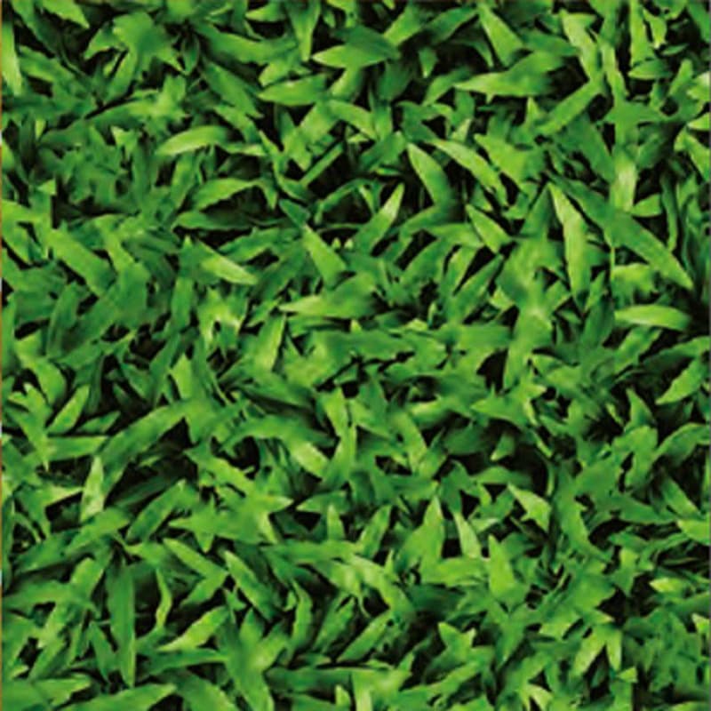 Gạch Đồng Tâm 4040CLG001