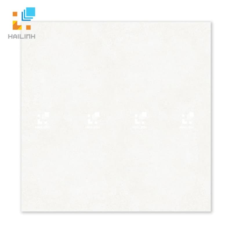 Gạch Đồng Tâm 6060VICTORIA005