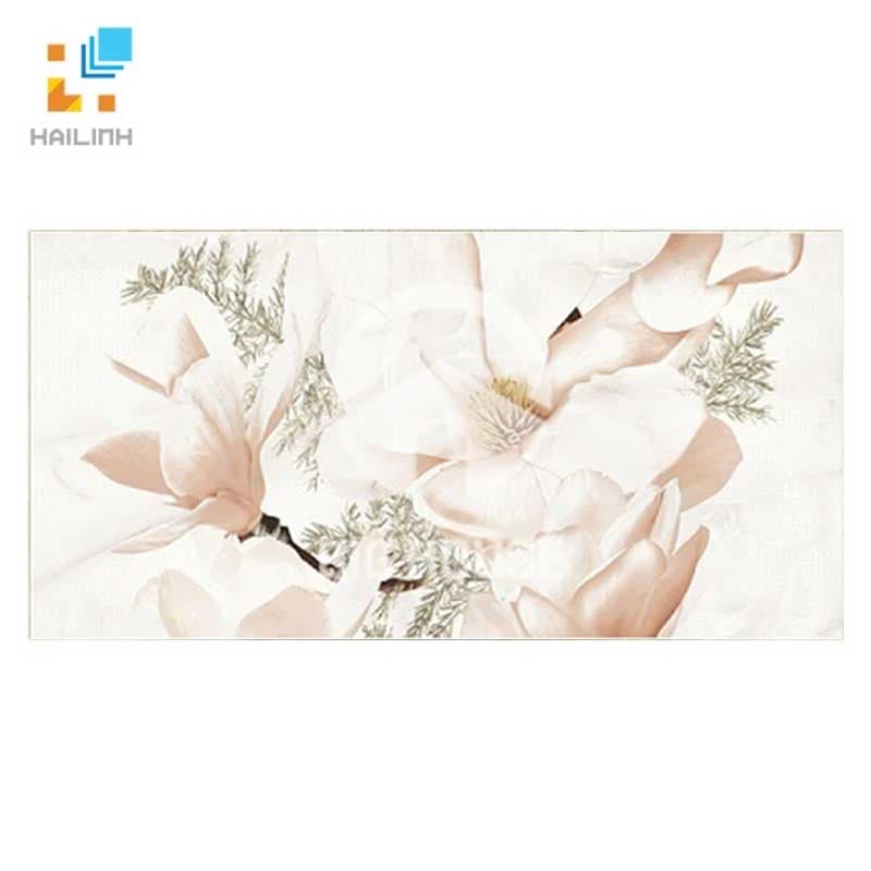 Gạch Đồng Tâm D3060B1ROXY003