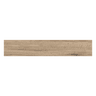 Gạch Viglacera PT-21201 3