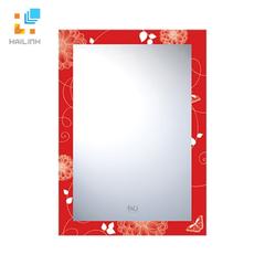 Ảnh Gương DQ 4882 1