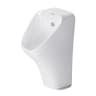 Bồn tiểu nam điện tử Duravit 2806310091 1