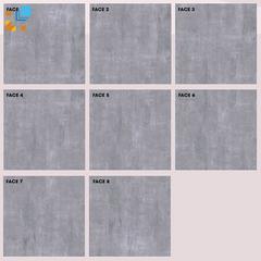 Ảnh Gạch Taicera G68928 2