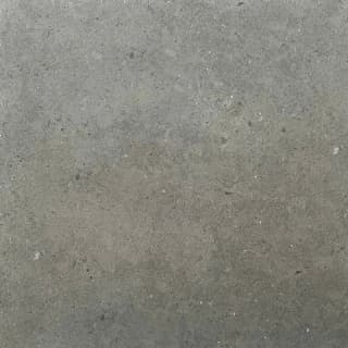 Ảnh Gạch Á Mỹ 5166 1
