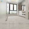 Gạch Ấn Độ CSI36110 3