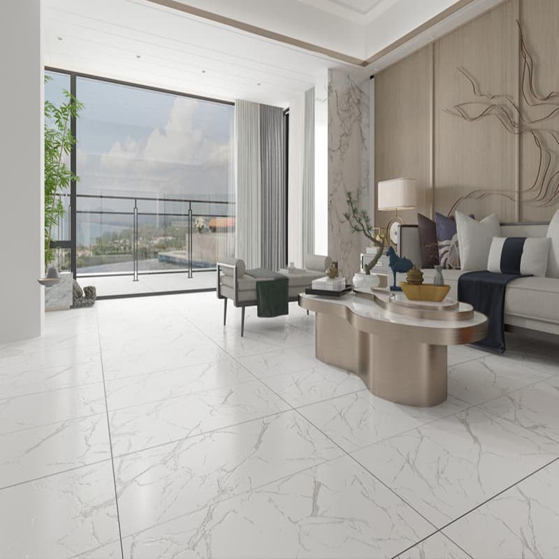 Gạch Ấn Độ CSI612101 60x120