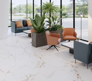 Ảnh Gạch Ấn Độ CSI612122 4