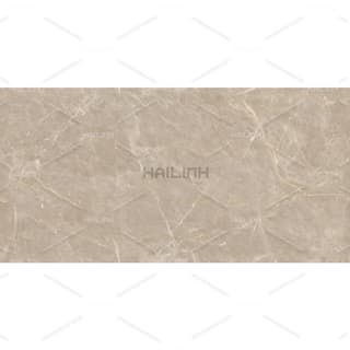 Ảnh Gạch Ấn Độ CSI612149 1
