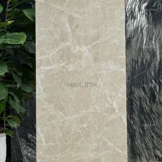 Ảnh Gạch Ấn Độ CSI612149 5