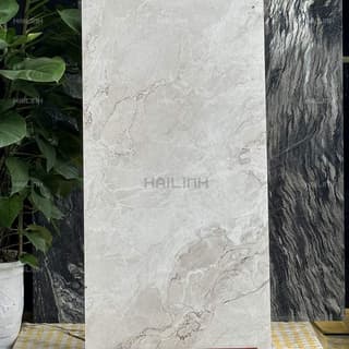 Ảnh Gạch Ấn Độ CSI612155 7