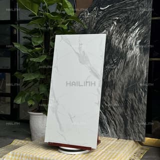 Ảnh Gạch Ấn Độ CSI612172 6