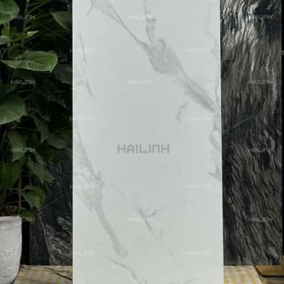 Ảnh Gạch Ấn Độ CSI612172 8