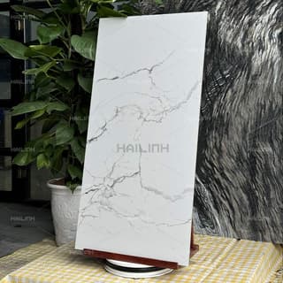 Ảnh Gạch Ấn Độ CSI612175 5