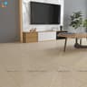 Gạch Ấn Độ CSI66119 60x60 màu Beige 3