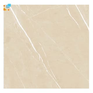 Ảnh Gạch Ấn Độ CSI66119 60x60 màu Beige 2