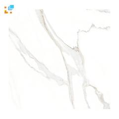 Ảnh Gạch Ấn Độ CSI88115 2