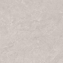Gạch Ấn Độ CSI88138