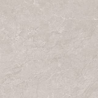 Ảnh Gạch Ấn Độ CSI88138 1