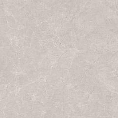 Ảnh Gạch Ấn Độ CSI88138 3