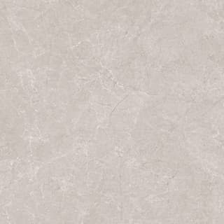 Ảnh Gạch Ấn Độ CSI88138 3