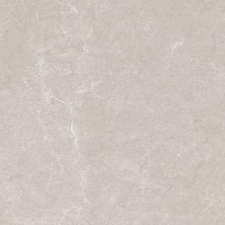 Ảnh Gạch Ấn Độ CSI88138 5