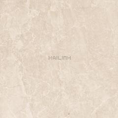 Ảnh Gạch Ấn Độ CSI88152 2
