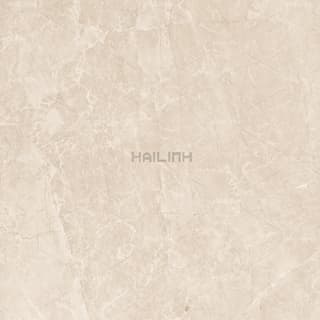 Ảnh Gạch Ấn Độ CSI88152 2