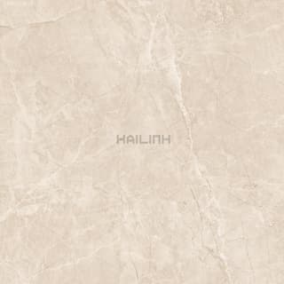 Ảnh Gạch Ấn Độ CSI88152 3