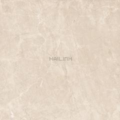 Ảnh Gạch Ấn Độ CSI88152 4