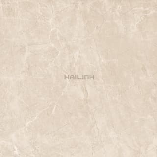 Ảnh Gạch Ấn Độ CSI88152 4