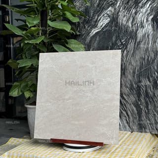 Ảnh Gạch Ấn Độ CSI88152 5