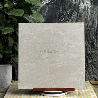 Ảnh Gạch Ấn Độ CSI88152 6