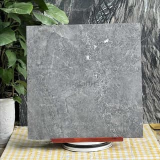 Ảnh Gạch Ấn Độ CSI88153 5