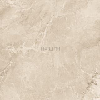 Ảnh Gạch Ấn Độ CSI88154 4