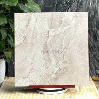 Ảnh Gạch Ấn Độ CSI88154 5