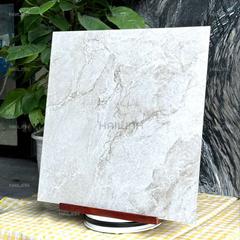 Ảnh Gạch Ấn Độ CSI88155 6