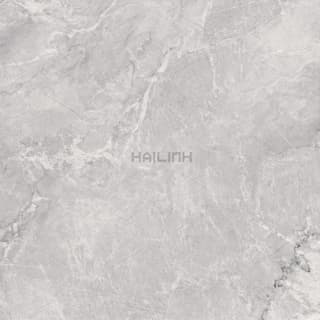 Ảnh Gạch Ấn Độ CSI88156 3